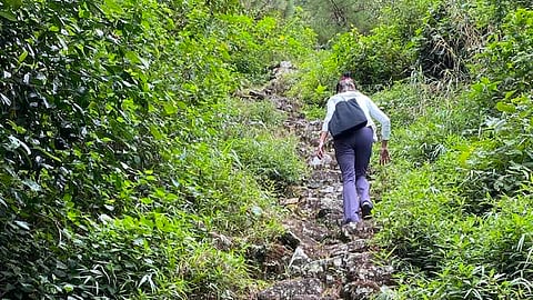 A thousand steps to the Alab Petroglyphs.
