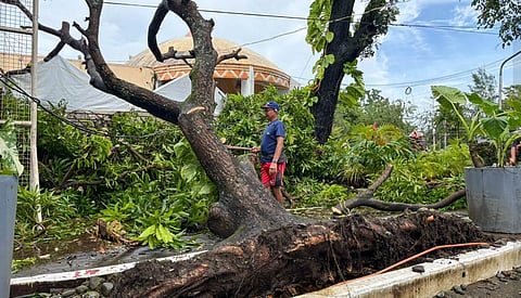 Capitol workers in San Jose de Buenavista, Antique, clear debris after Typhoon Tino (Kalmaegi) hit on Wednesday, Nov. 5, 2025.