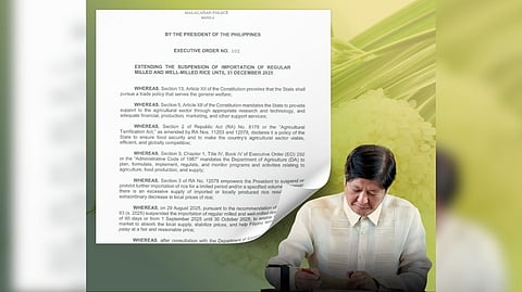 Rice import freeze until year’s end