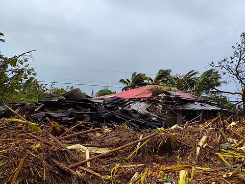 P83.78M in crops lost to #TinoPH