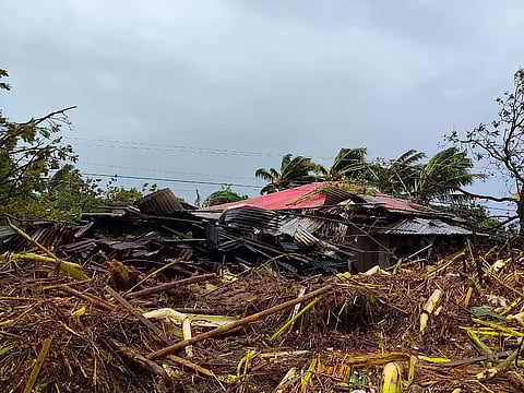 P83.78M in crops lost to ‘Tino’