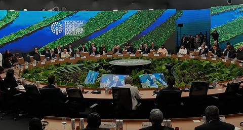 World leaders launch forests 
fund, get first $5B