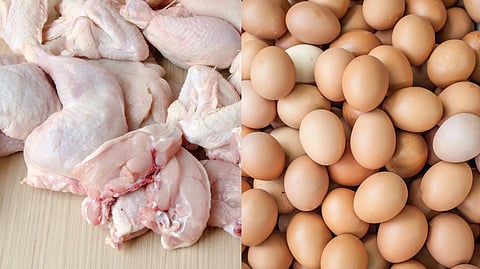 Dutch poultry imports halted anew