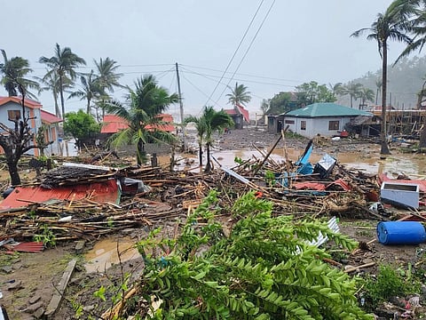 Same old story The force of typhoon ‘Uwan’ toppled trees and flattened homes, leaving behind scenes that are no longer novel, but seemingly worse each time.