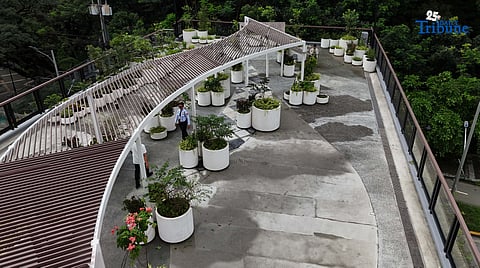 (November 11 2025) The newly built “Elevated Landscape Promenade” connect to Quezon Memorial Circle and the Ninoy Aquino Parks and Wildlife Center, on Tuesday, November 11, 2025. The Elevated Landscape Promenade is a project of the Quezon City Government that will connect the Quezon Memorial Circle to the Ninoy Aquino Parks and Wildlife Center. The elevated walkway aims to provide a safe passage for pedestrians and cyclists traveling between the two parks. Photo/Analy Labor
