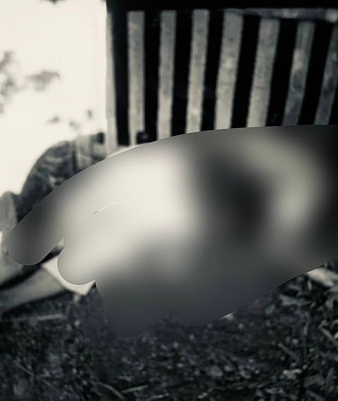 An elderly woman was killed after being hit by a truck wheel on Dingle, Iloilo.