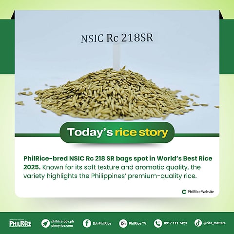 The PhilRice-bred NSIC Rc 218 SR (Mabango 3) won second place at the World’s Best Rice 2025 Awards in Cambodia for its soft texture, aromatic quality, and premium grains.