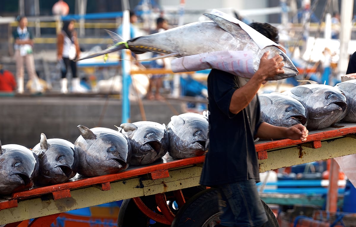 FROM zero, there are now up to 80 percent sustainable seafoods on the menu of PSM hotels and restaurants.