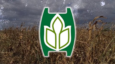 PCIC sets P571M for crop damage