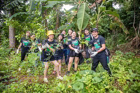 Figaro Foundation plants 1,000 coffee trees to revive Batangas’ coffee heritage