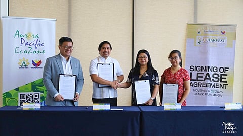 APECO and AuHarvest have teamed up to establish a TESDA-accredited training center in Casiguran, bringing industry-aligned skills development closer to the local workforce. This partnership strengthens APECO’s push for inclusive growth by preparing residents for future employment opportunities within the ecozone and beyond. 