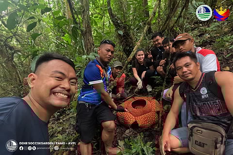 The Protected Area Management Office (PAMO) of the Allah Valley Protected Landscape (AVPL) has documented another blooming Rafflesia during a recent field work at the said area.