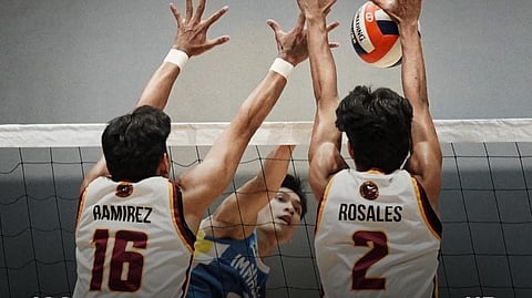 Brahmans, Lady Blue Hawks near sweeps