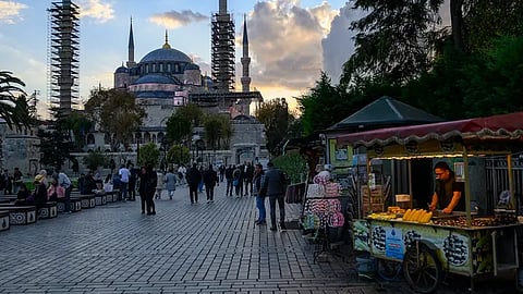 Insecticide believed behind deaths of tourist family 