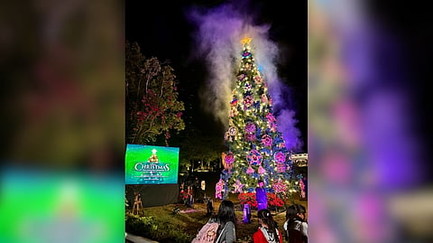 THE Christmas tree at The Mansion House in Baguio City glows as the President’s summer residence marks the holiday season with its annual tree-lighting ceremony on 27 November, drawing visitors to the historic landmark.