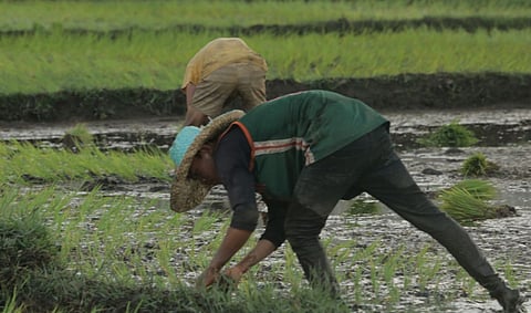 BARMM farmers get P300-M machines