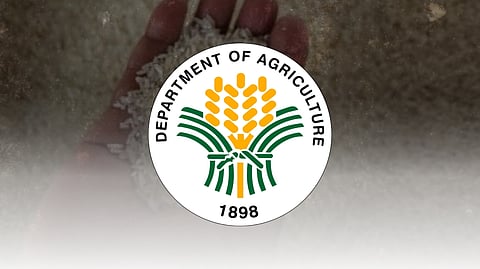 DA warns vs fake rice import permits  