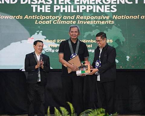 Climate leadership requires Phl-grounded strategy, says ex-solon
