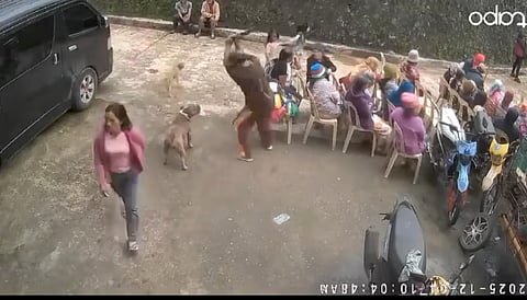 Outrage erupts after pitbull killed by alleged local official