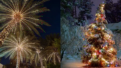 A White Christmas and a Tropical Christmas offer different vibes and experiences. Both are unique and reflect the spirit of the festive season.