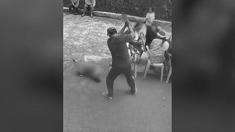 ‘Dog killer’ a municipal staff, says Sadanga LGU