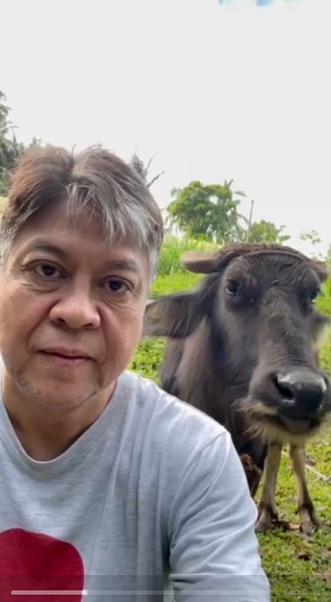 SENATOR Francis "Kiko" Pangilinan sinabi na ang 2026 national budget ay mag-uugnay sa nutrisyon ng mga bata at kita ng lokal na dairy farmers.