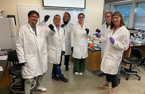 FELLOWS of the Logan Science Journalism Program step away from daily deadlines and into hands-on scientific research alongside leading scientists.