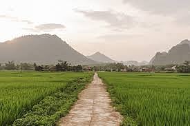 INFRASTRUCTURE delivery will also come under scrutiny in 2026, particularly the implementation of P33 billion worth of farm-to-market road projects transferred to the DA following the flood control corruption controversy. With the projects only recently turned over, Tiu Laurel said the agency is effectively starting from scratch after years of road construction being handled by the Department of Public Works and Highways.