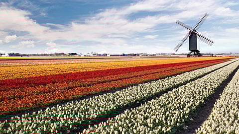 2025 adventures and why travel in 2026 