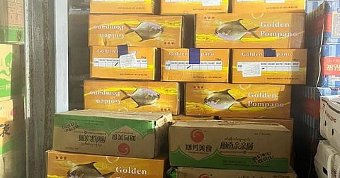 Vida: Seized agri, fishery goods safe 
for donation