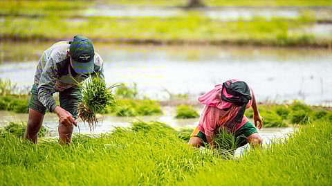 DA expects payoff from 2026 budget