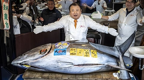 KIYOSHI Kimura, president of Kiyomura Corp., the Tokyo-based operator of sushi restaurant chain Sushizanmai, displays a 243-kilogram bluefin tuna at his main restaurant in Tokyo on 5 January 2026, after the New Year’s auction at Toyosu fish market.