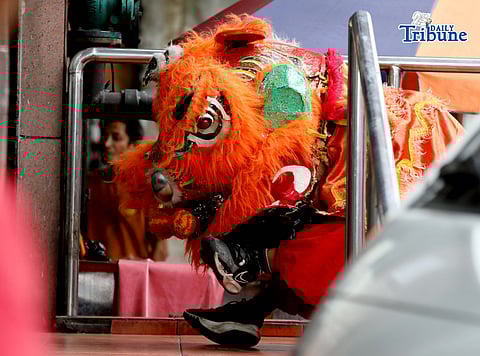 Lion dancers perform at a store in Quezon City.

Lion dance is a traditional Chinese performance believed to bring good fortune and wealth.
