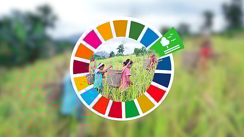 TAWBUID farmers in Mindoro harvest rice.