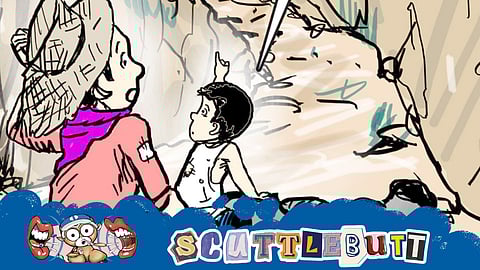 Farm to pocket racket