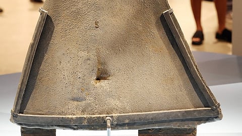 Illegal shark fin trade threatens protected species, study warns