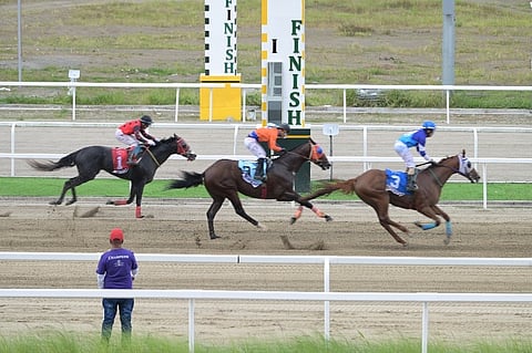 Buzz Rocket wins PHILRACOM–PCSO Imported/Local Challenge