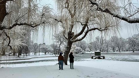 Two figures pause beneath snow-laden branches, taking in the quiet beauty of a city park stilled by winter’s deep freeze