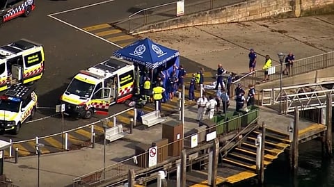 Boy ‘fighting for life’ after shark attack