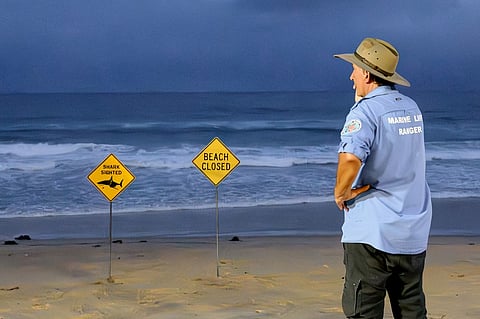 A marine life ranger stands near the closed signage of the North Steyne Beach in Sydney on January 19, 2026. A shark mauled a surfer off an ocean beach in Sydney on January 19 in the Australian city's third shark attack in two days, authorities said.