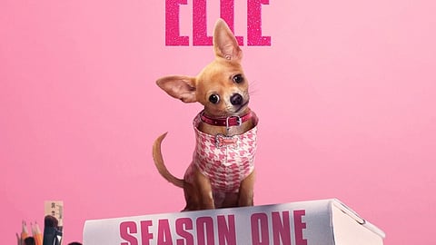 'Elle,' from the world of 'Legally Blonde.'