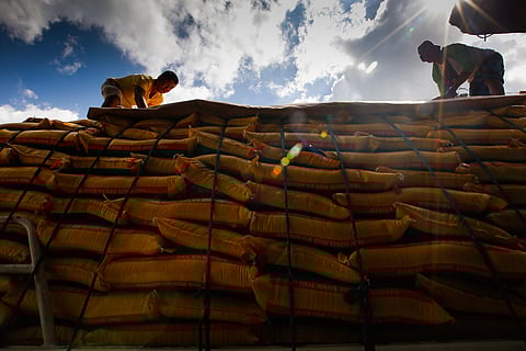 Workers unload imported rice at a warehouse along Dagupan Street in Tondo, Manila, on Friday, 23 January 2026. The Philippines resumed rice importation this month, after it was suspended late last year in a bid to help local farmers cope with falling prices.