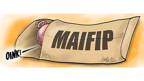 If it quacks like a duck