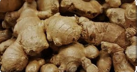 ROOT crops and plants have long been used as medicines, prompting calls to harmonize indigenous healing with science-based methods.