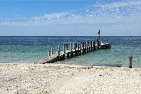 13-year-old hailed 'superhuman' after four-hour swim to rescue family