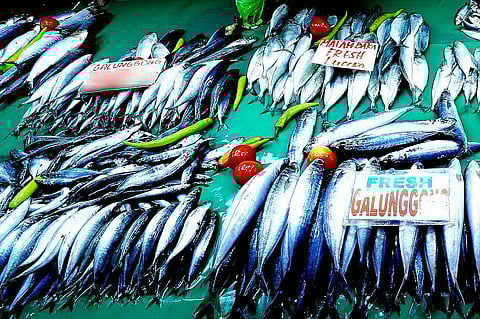 Galunggong shortage pushes prices up