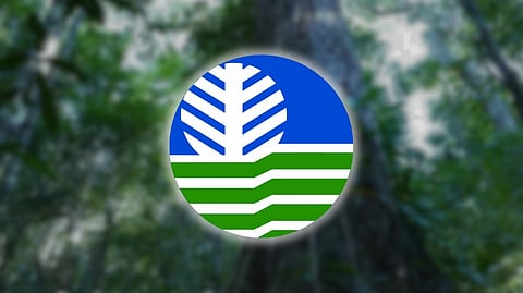 Phl targets forest carbon hub