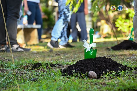A tree planting initiative spearheaded by United Nations Development Programme (UNDP) Resident Representative Dr. Selva Ramachandran at the Philippine Heritage Trees Site within the People’s Park in February of 2025