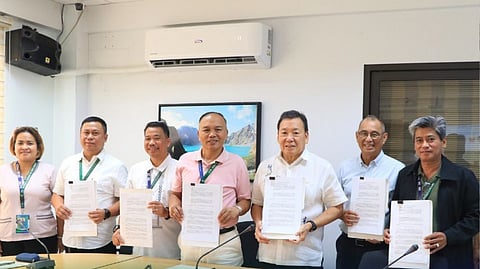 Bulacan reforestation efforts intensified