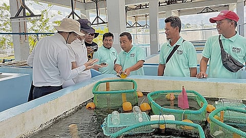 THE Japan government, in partnership with the Food and Agriculture Organization, has launched the two-year project, ‘Development of a Sustainable Fishery Value Chain in the Bangsamoro Autonomous Region in Muslim Mindanao’ signed in 2025.